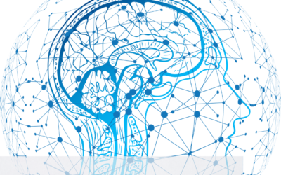 Mikropolaryzacja mózgu i tDCS – Nowoczesne metody wspierania zdrowia psychicznego